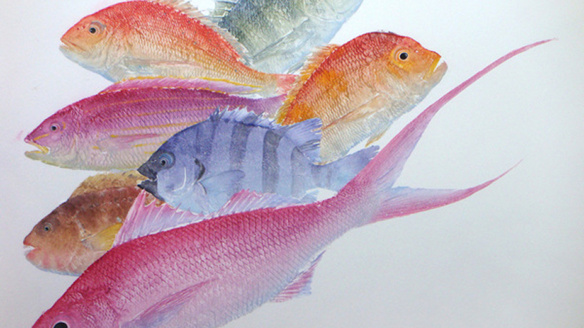 特別展：水族館特別展「アート魚拓展」