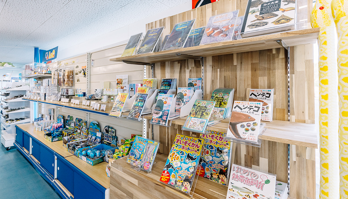 水族館ショップ