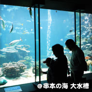 串本の海 大水槽