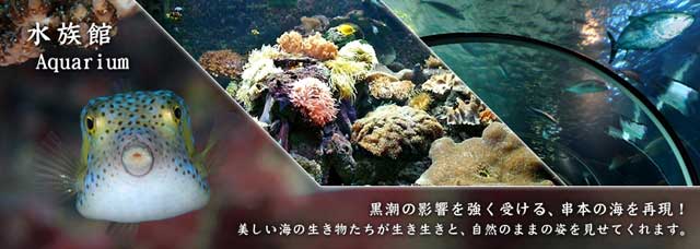 和歌山県本州最南端の水族館串本海中公園