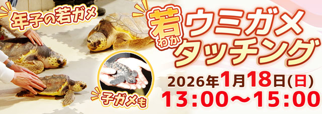 �E�~�K���C�x���g