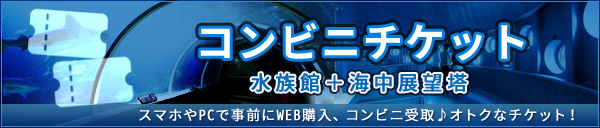 �R���r�j�`�P�b�g