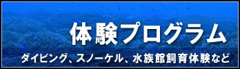 本州最南端の水族館串本海中公園の体験プログラム