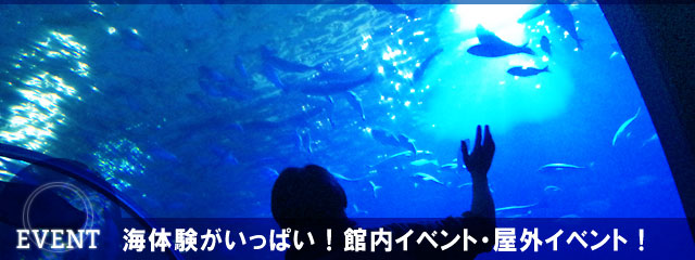 串本海中公園水族館のイベント